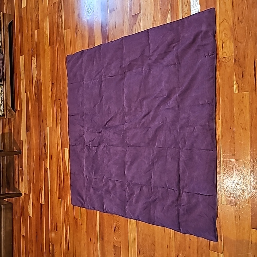 Down alternative throw blanket.